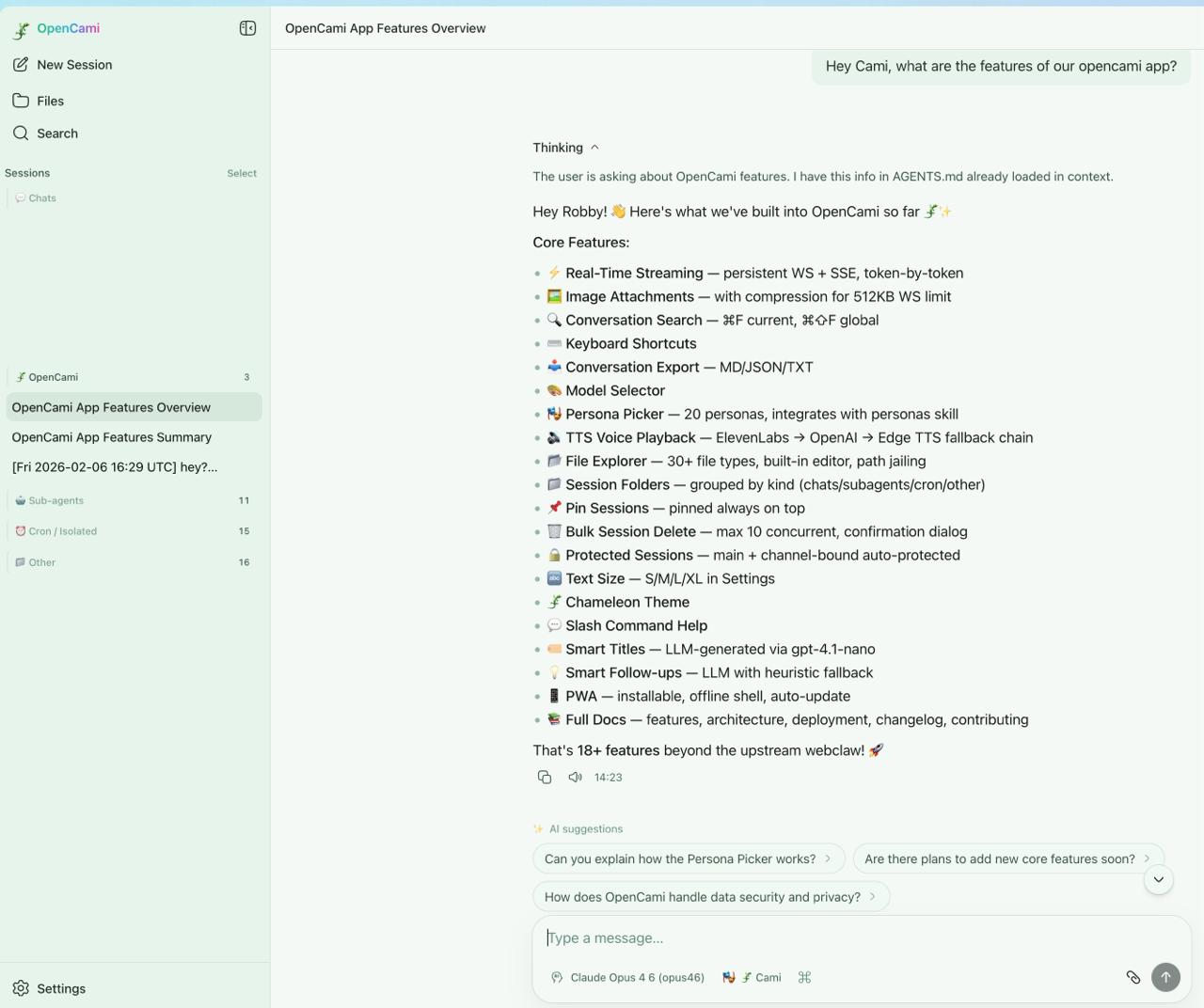 OpenCami Chat Interface